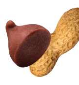 Chocolate PB  - 16 Cereal Treats (4 boxes)